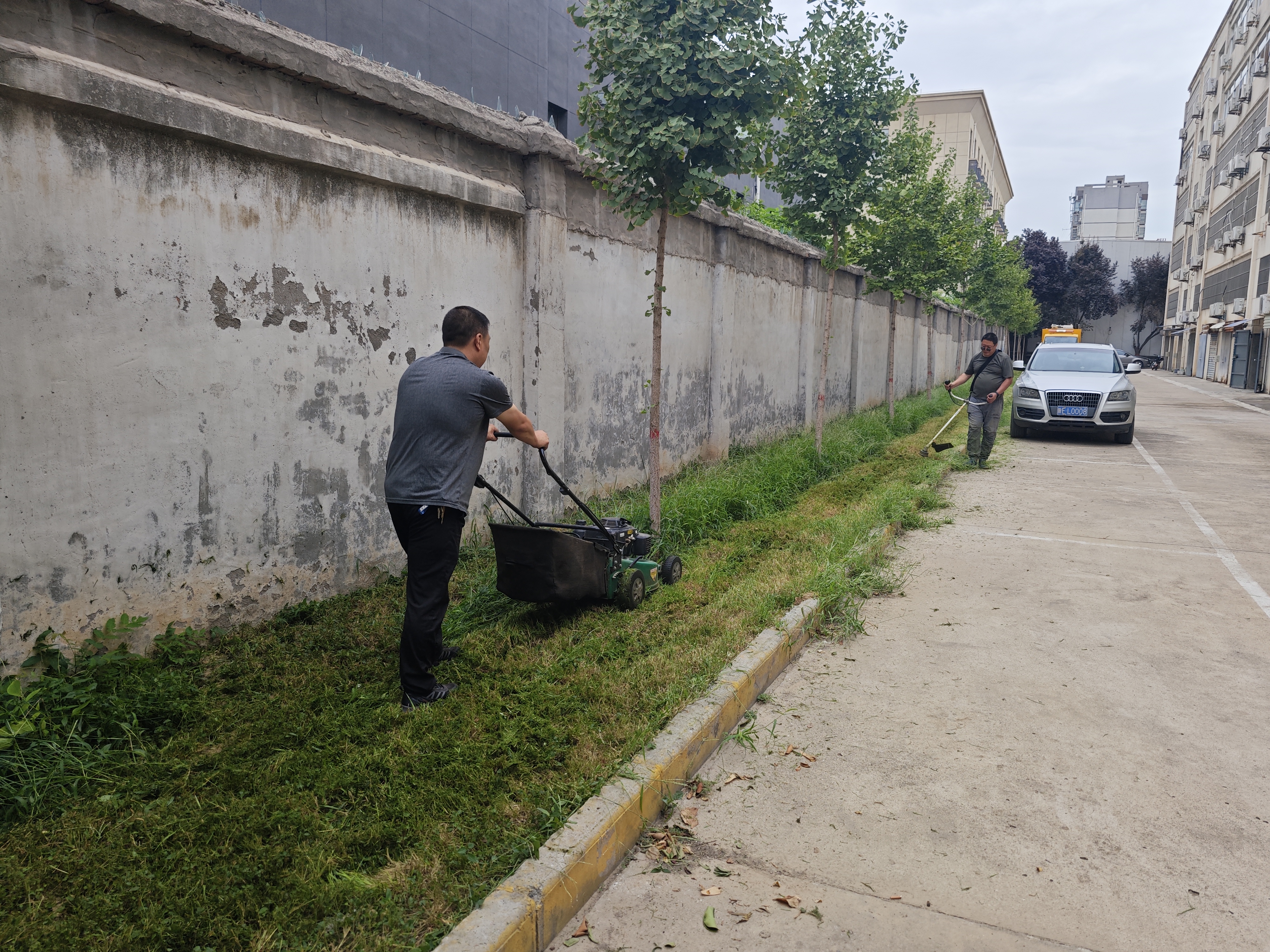 工程局开展集体劳动 扮靓机关院落展新颜